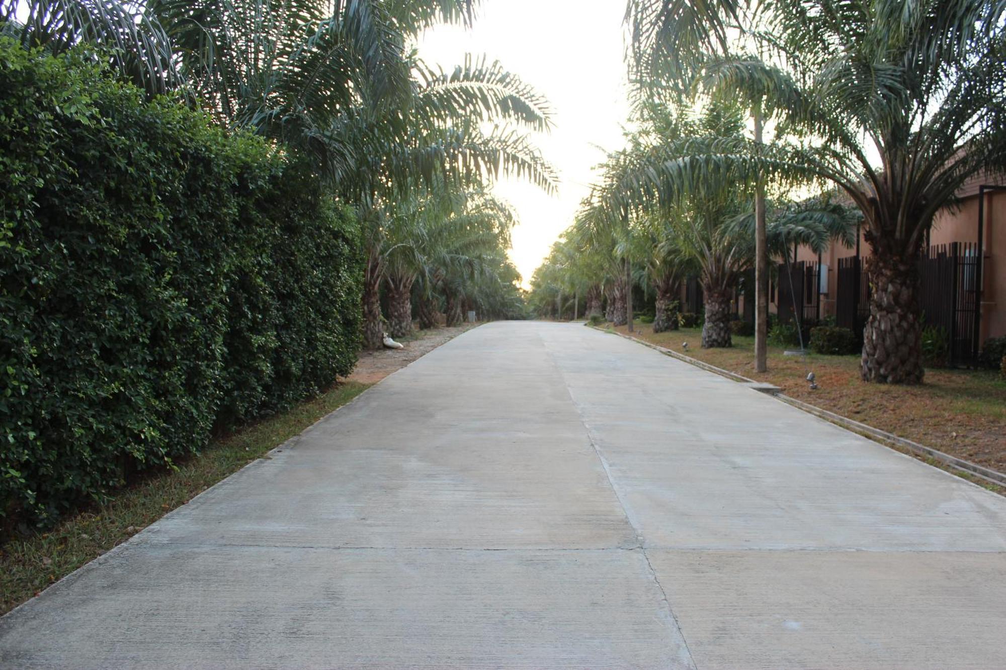 Palm Inn Khok Kloi Ngoại thất bức ảnh